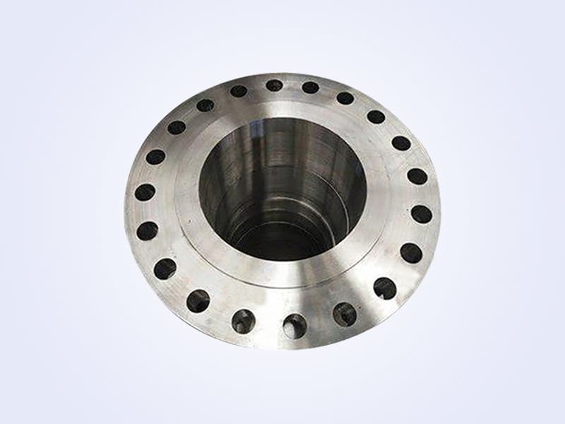 Forged Flange - 法兰 (10)