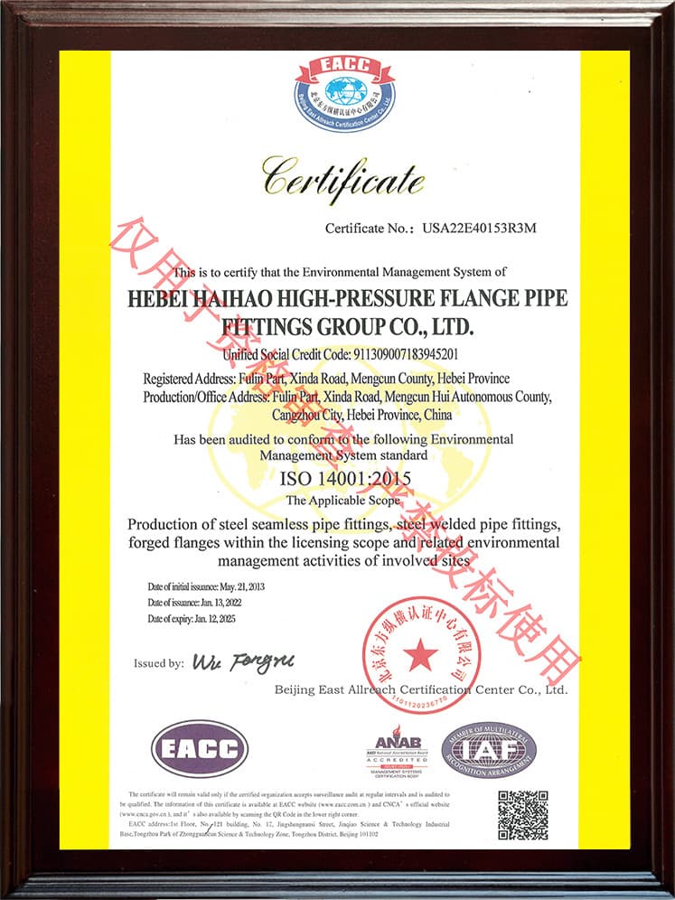 ISO 14001 环境管理体系（英）