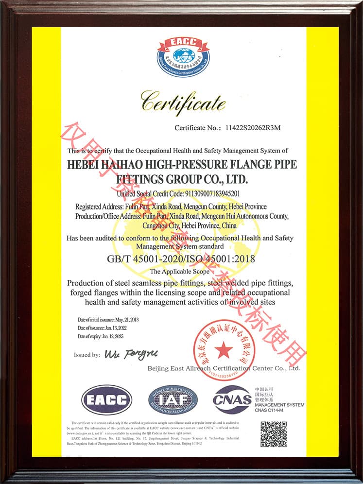 ISO 45001 职业健康安全（英）