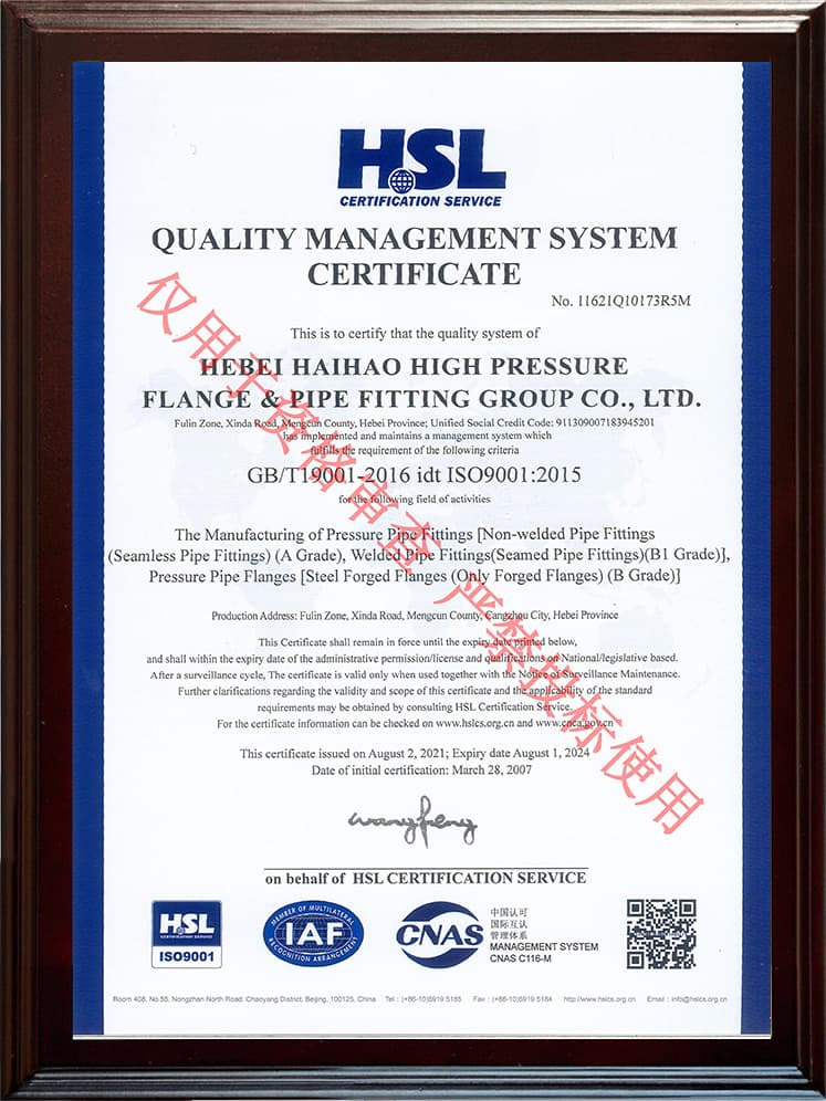 ISO 9001 质量管理体系（英）