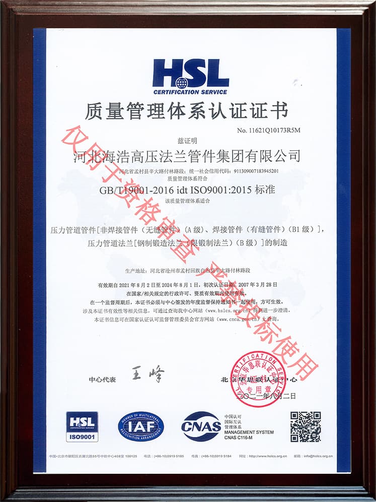 ISO 9001 质量管理体系（中）
